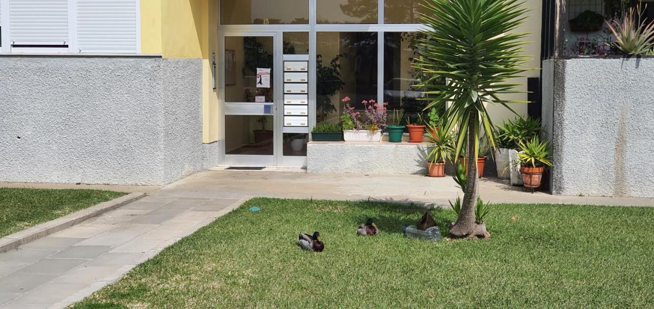 Appartamento A Casa Do Parque Santo André Esterno foto